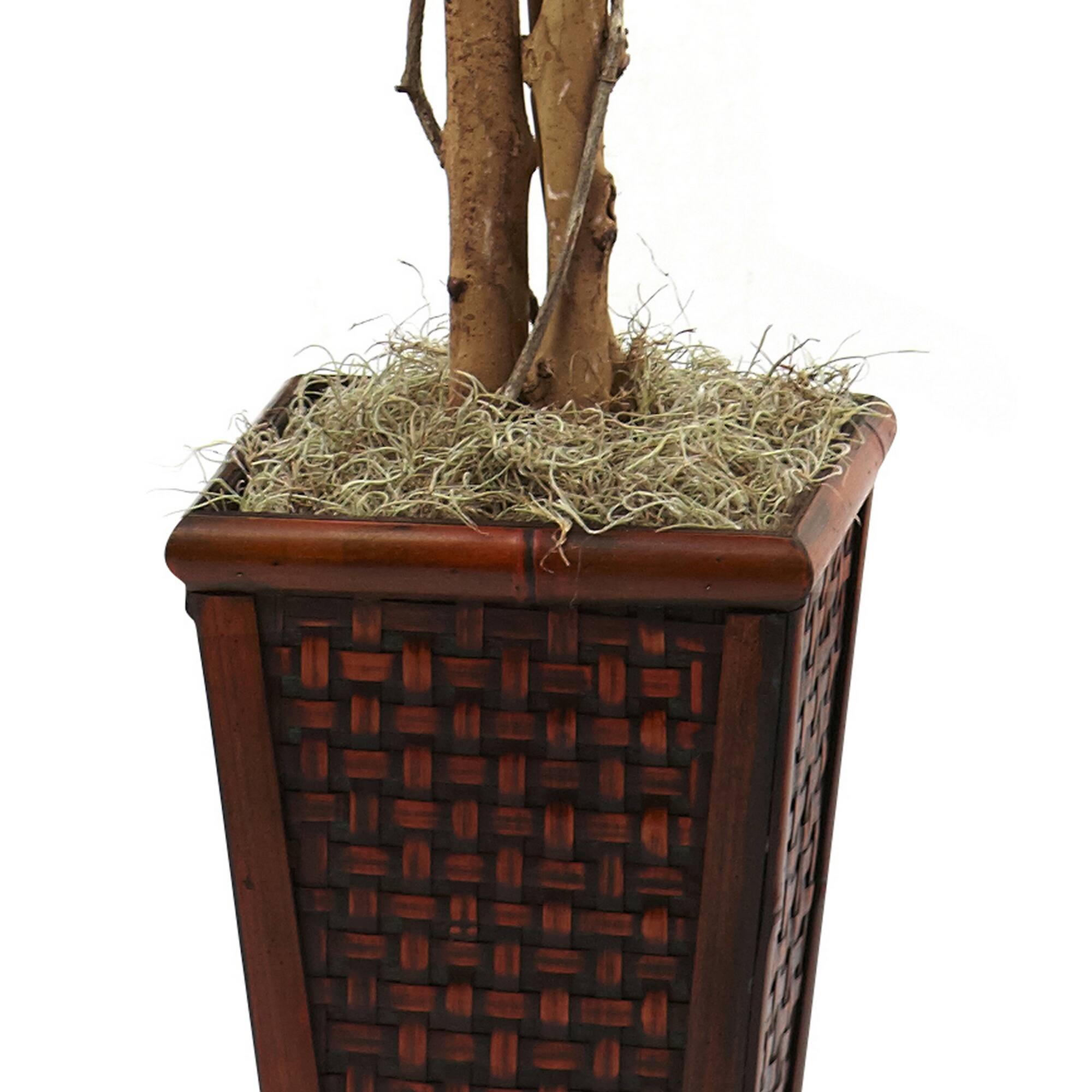 6.5ft. Ficus Tree In Decorative Planter